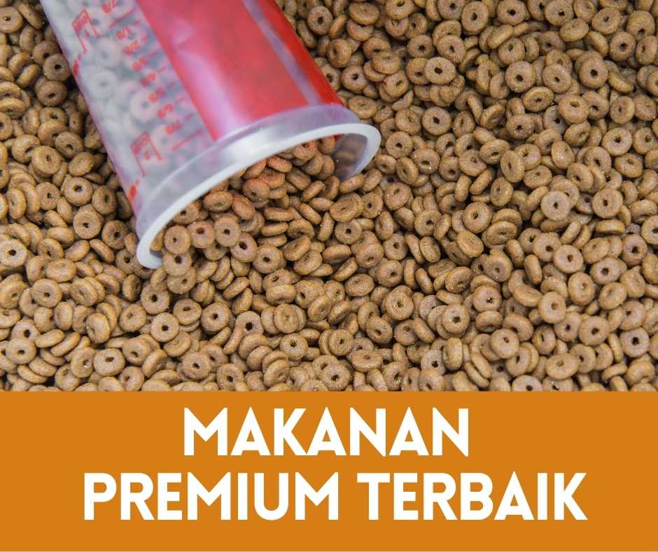 Memilih Makanan Kucing Super Premium Terbaik: Panduan Lengkap