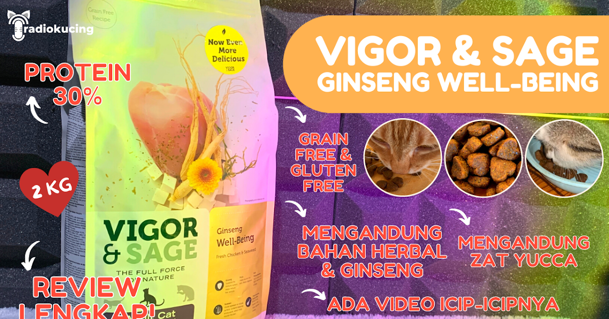 Memahami Nutrisi Optimal untuk Kucing Anda dengan Makanan Kucing Vigor Secara Alami