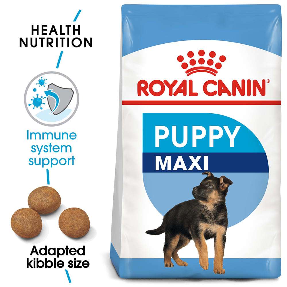 Panduan Lengkap Makanan Anjing Maxi: Nutrisi Optimal untuk Anjing Ras Besar