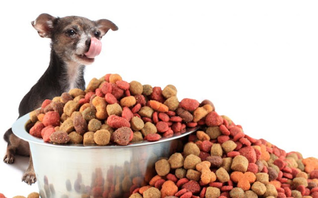 Memilih Makanan Anjing Kecil Terbaik: Panduan Alami dan Seimbang