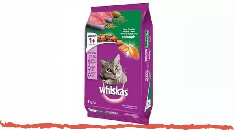 Panduan Lengkap Mengenai Harga Makanan Kucing Whiskas Junior dan Manfaatnya
