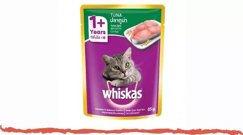 Memahami Harga dan Nutrisi Makanan Kucing Whiskas Anak