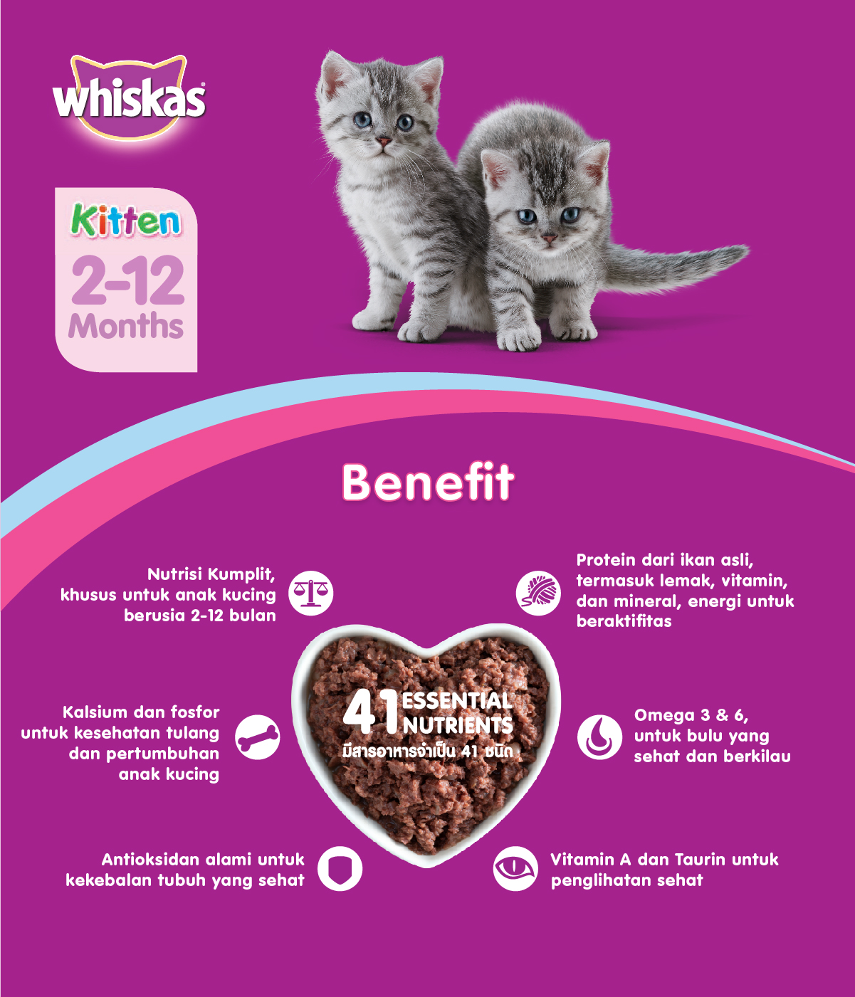 Memahami Harga Makanan Kucing Basah: Faktor dan Pilihan Terbaik