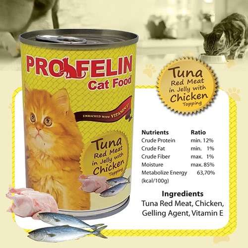 Makanan Basah Kucing: Lebih dari Sekadar Kelezatan