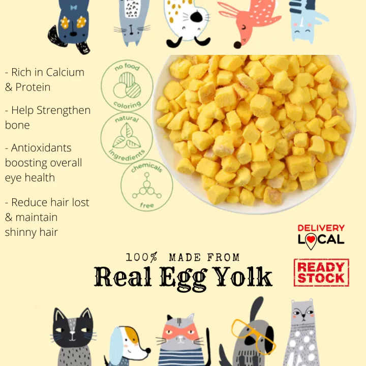 Telur Ayam dalam Makanan Kucing: Manfaat dan Pertimbangan