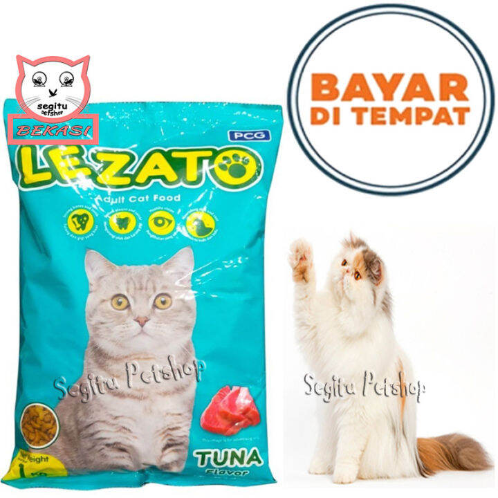 Panduan Lengkap Memilih Makanan Kering Anak Kucing Alami