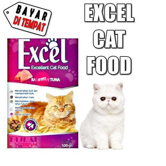 Memahami Makanan Kucing Kering Dewasa Alami untuk Kesehatan Optimal