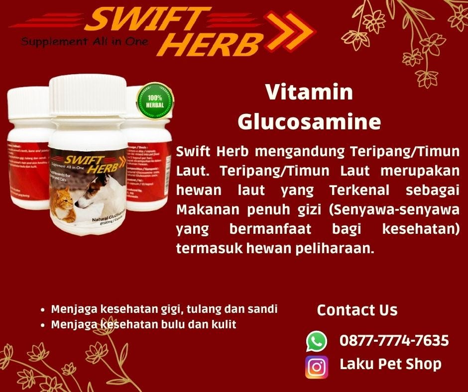 Makanan Tepat untuk Kucing: Mengatasi Kerontokan Bulu Secara Alami