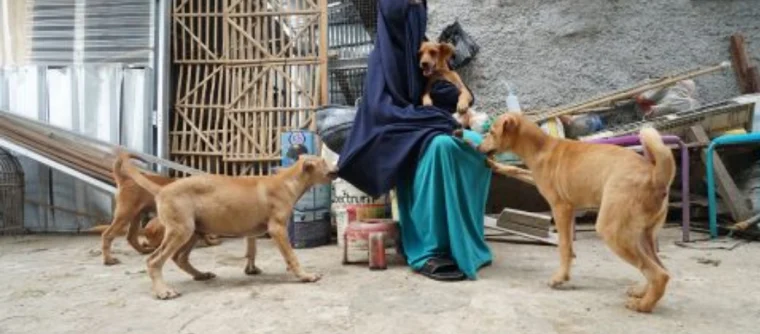 Memelihara Anjing dalam Islam: Panduan Alami dan Bertanggung Jawab