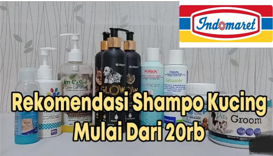 Kucing di Indomaret: Fenomena dan Perspektif