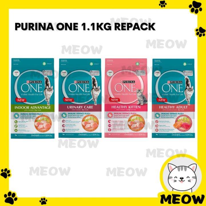 Makanan Kucing Urinary Murah: Solusi Alami untuk Kesehatan Saluran Kemih Kucing