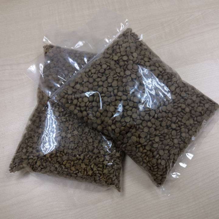 Makanan Kucing Termurah Secara Alami: Panduan Lengkap