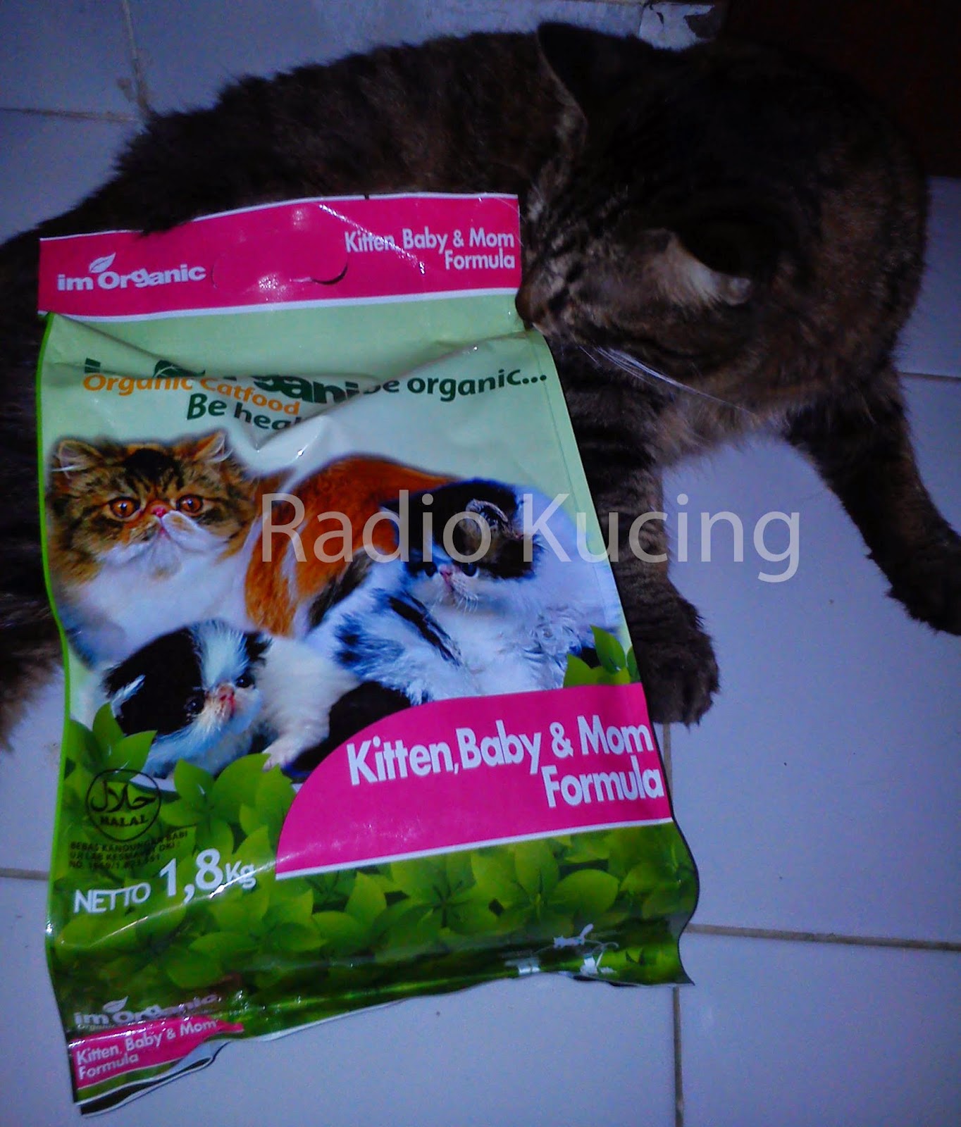 Makanan Kucing IM Organik: Pilihan Terbaik untuk Kesehatan Kucing Kesayangan