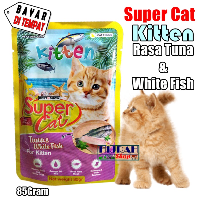 Panduan Lengkap Makanan Anak Kucing Basah Alami