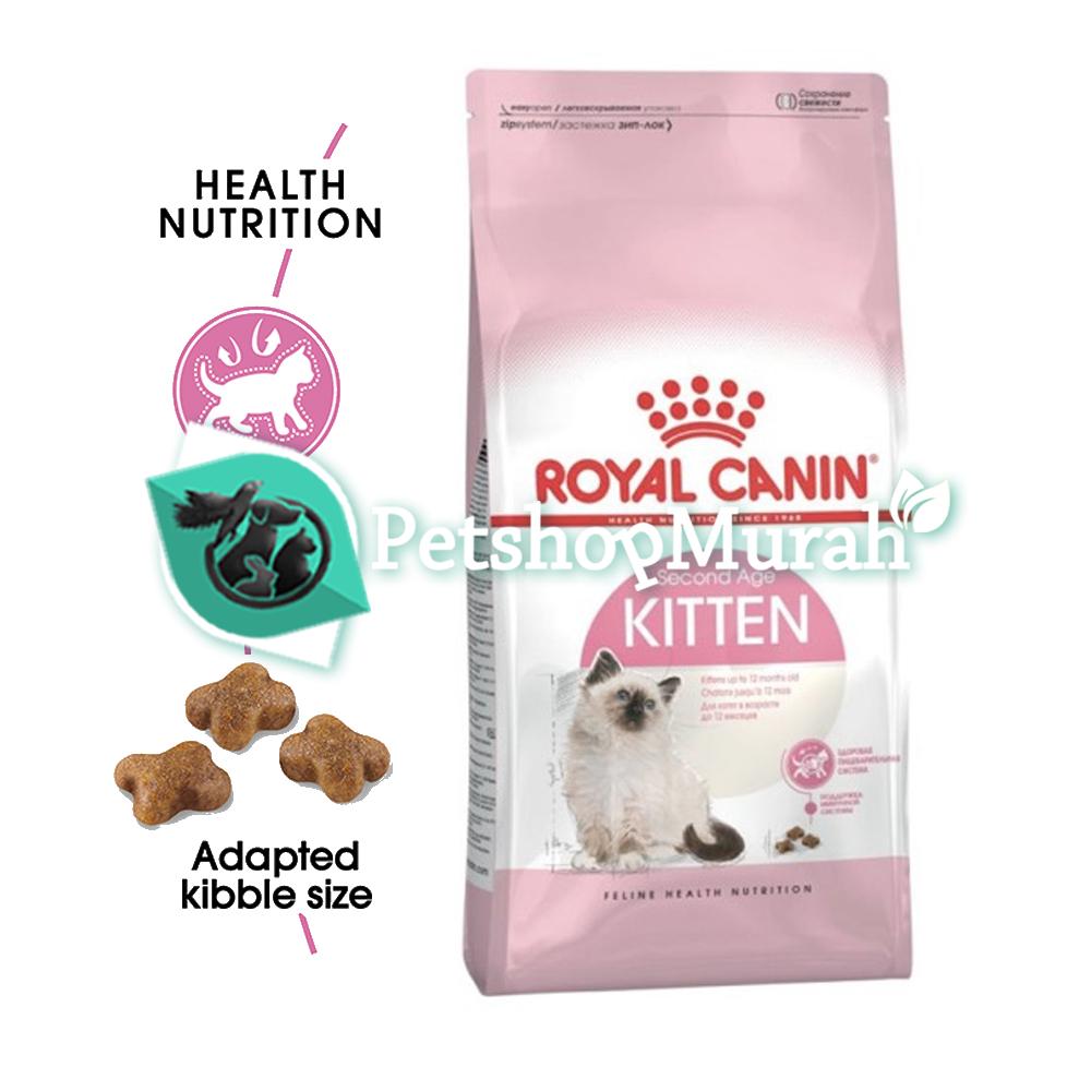 Panduan Lengkap: Makanan Anak Kucing (Kitten) Secara Alami untuk Pertumbuhan Optimal