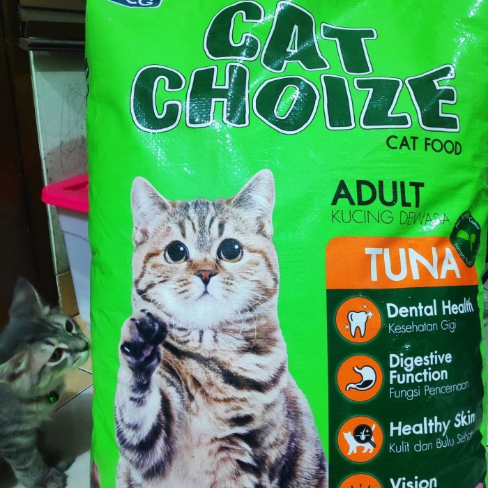 Memilih Makanan Kucing yang Tepat: Bolt vs. Cat Choize