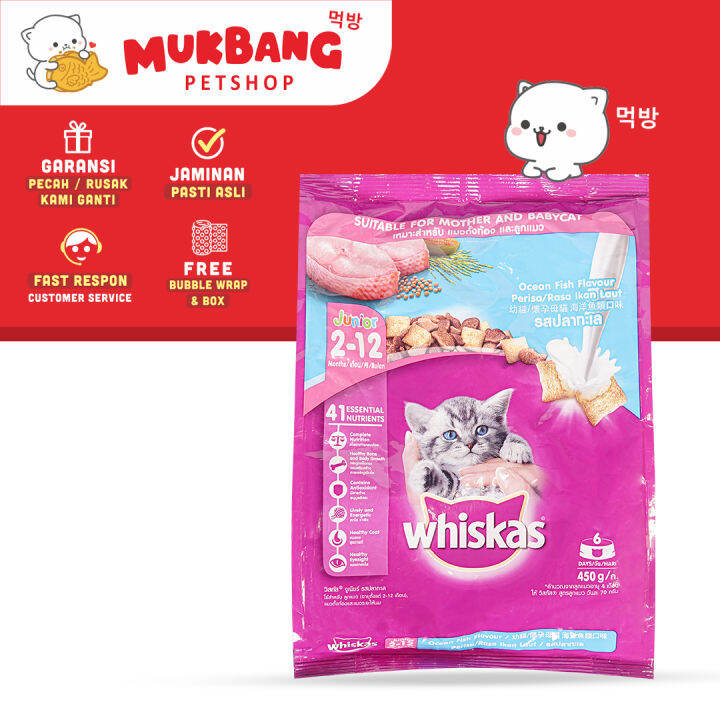 Panduan Lengkap Makanan Kering Kucing Junior Alami: Nutrisi Optimal untuk Pertumbuhan Sehat