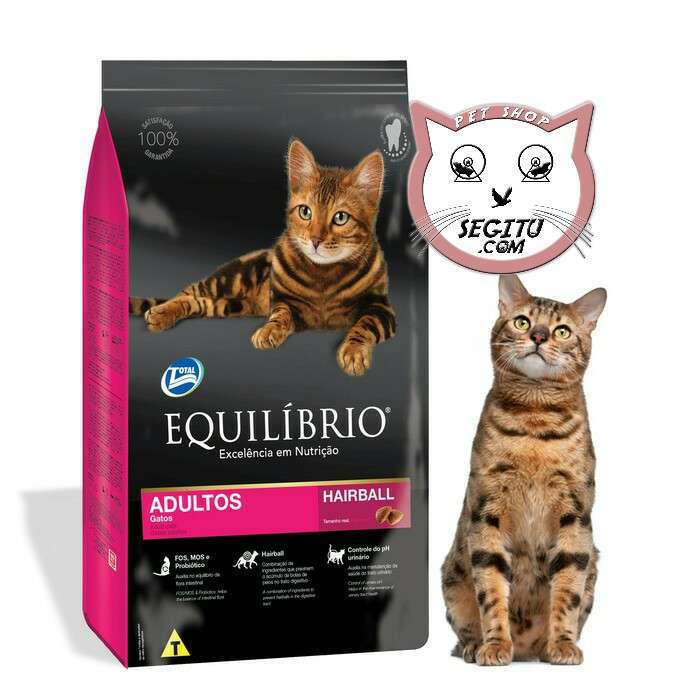 Memahami Keunggulan Makanan Kucing Equilibrio untuk Kesehatan Optimal