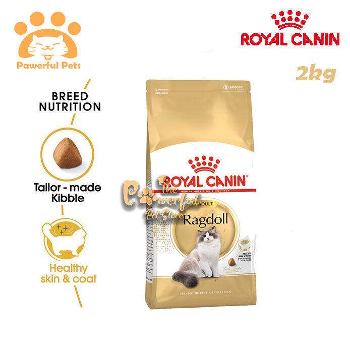 Panduan Lengkap Memilih Makanan Kucing Ragdoll Terbaik