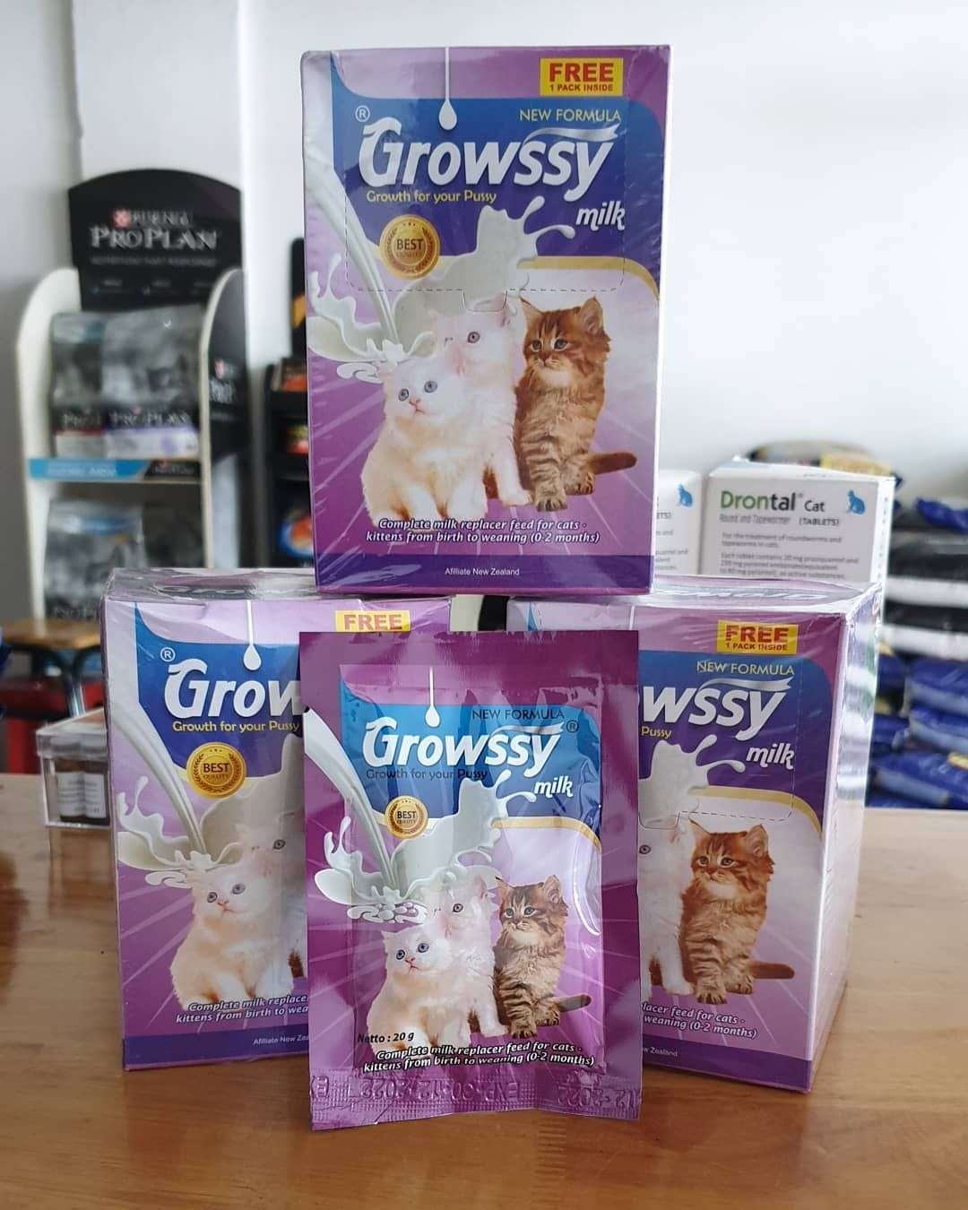 Memilih Makanan Terbaik untuk Kucing Kesayangan: Panduan Memilih Antara Wet Food dan Dry Food