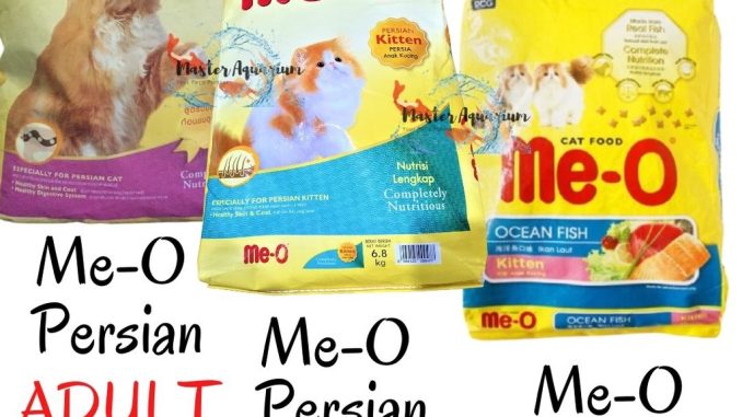 Memilih Makanan Terbaik: Panduan Harga dan Nutrisi Makanan Kucing Kitten Alami