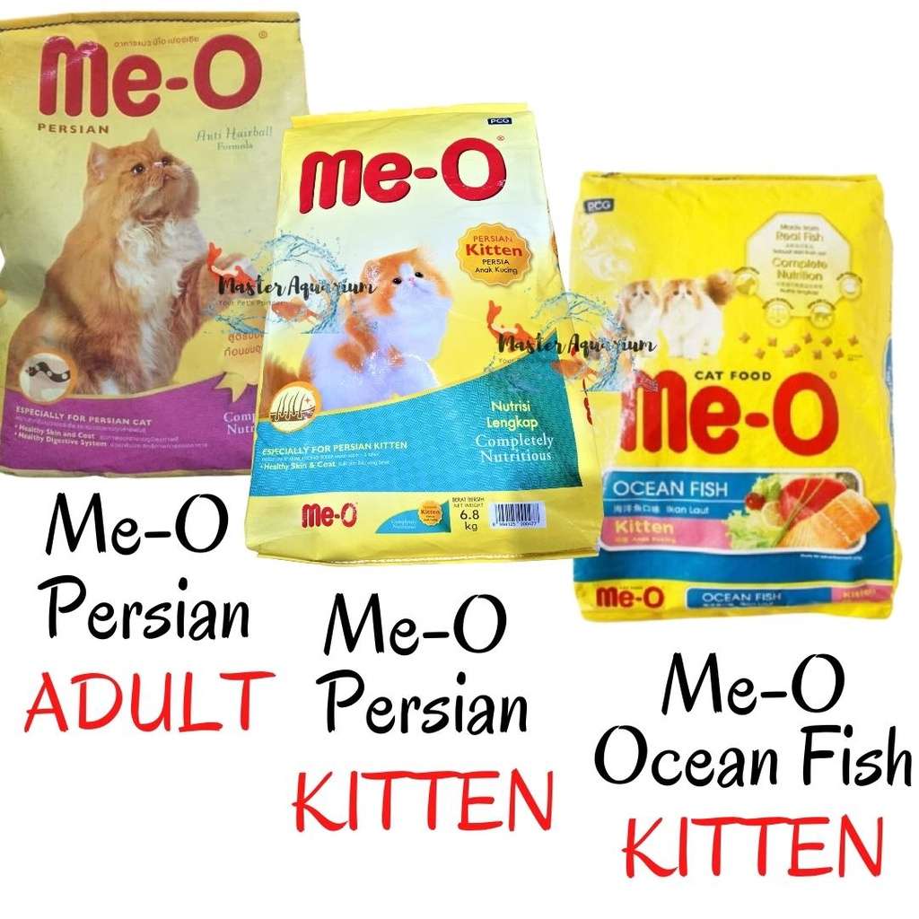 Makanan Kucing Me-O: Kualitas Terjangkau untuk Kesehatan Kucing Anda
