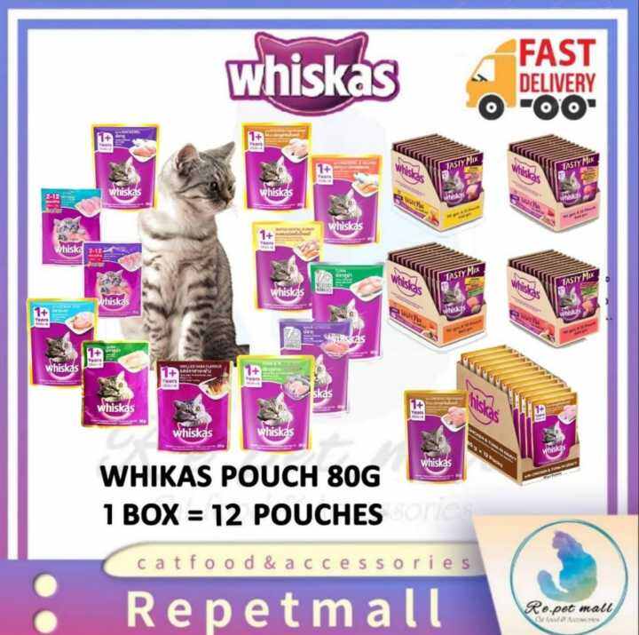 Memilih Makanan Kucing Tasty Kitten yang Tepat untuk Pertumbuhan Optimal