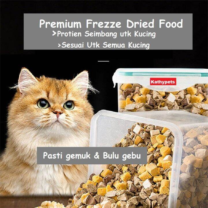 Protein dalam Makanan Kucing: Sumber Energi dan Kesehatan Optimal
