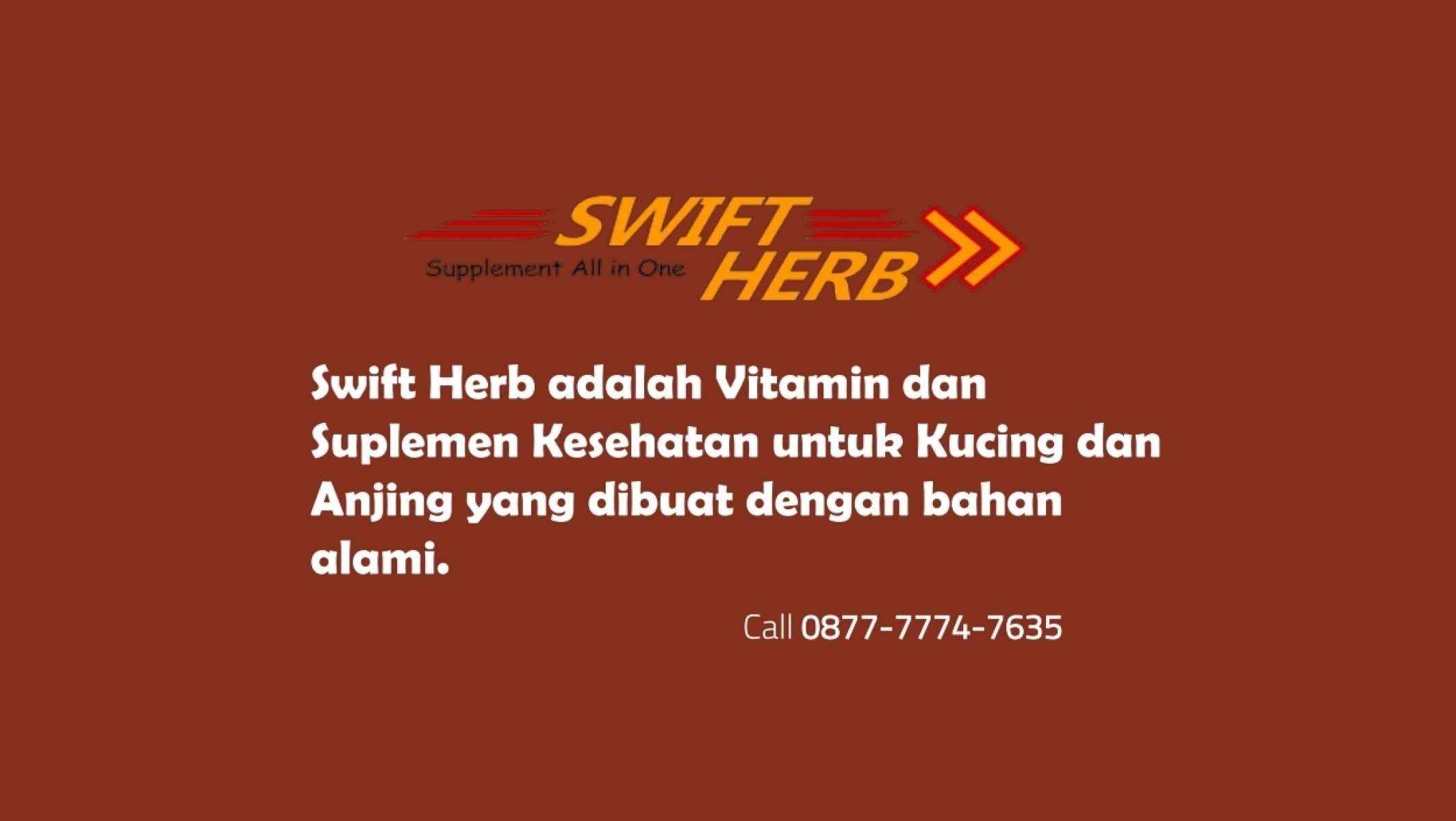 Makanan untuk Bulu Kucing Lebat dan Sehat Alami