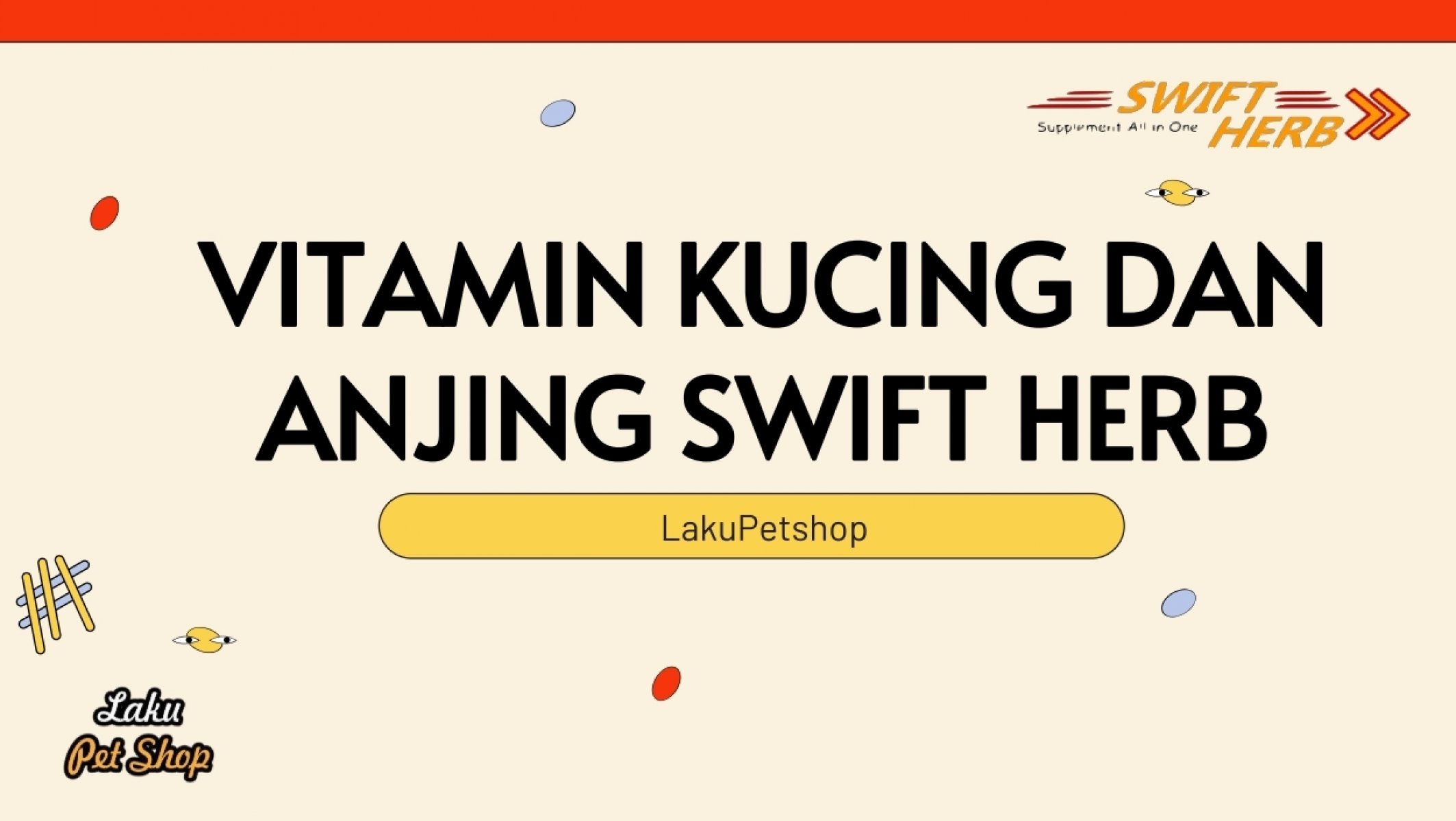 Rahasia Kucing Gemuk dan Sehat: Panduan Alami dan Efektif