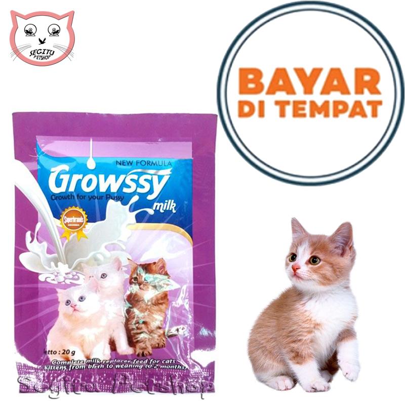 Makanan Susu untuk Kucing Kecil: Panduan Lengkap