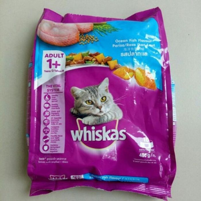 Panduan Lengkap Makanan Kucing Kecil Kering Alami