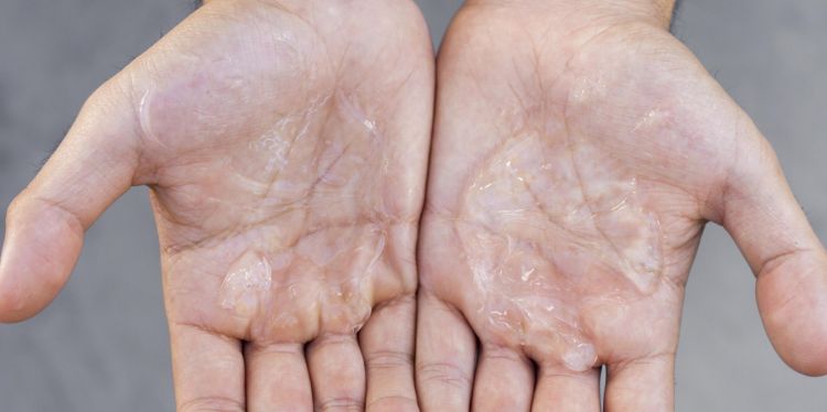 Menghaluskan Makanan Kering Kucing: Solusi Alami untuk Masalah Pencernaan dan Nafsu Makan