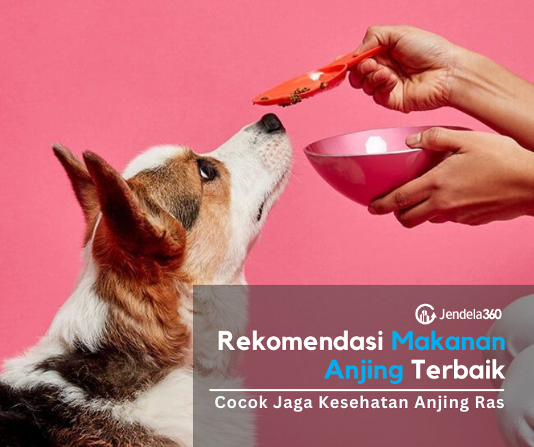 Makanan Anjing Anabul Alami: Pilihan Terbaik untuk Kesehatan Optimal