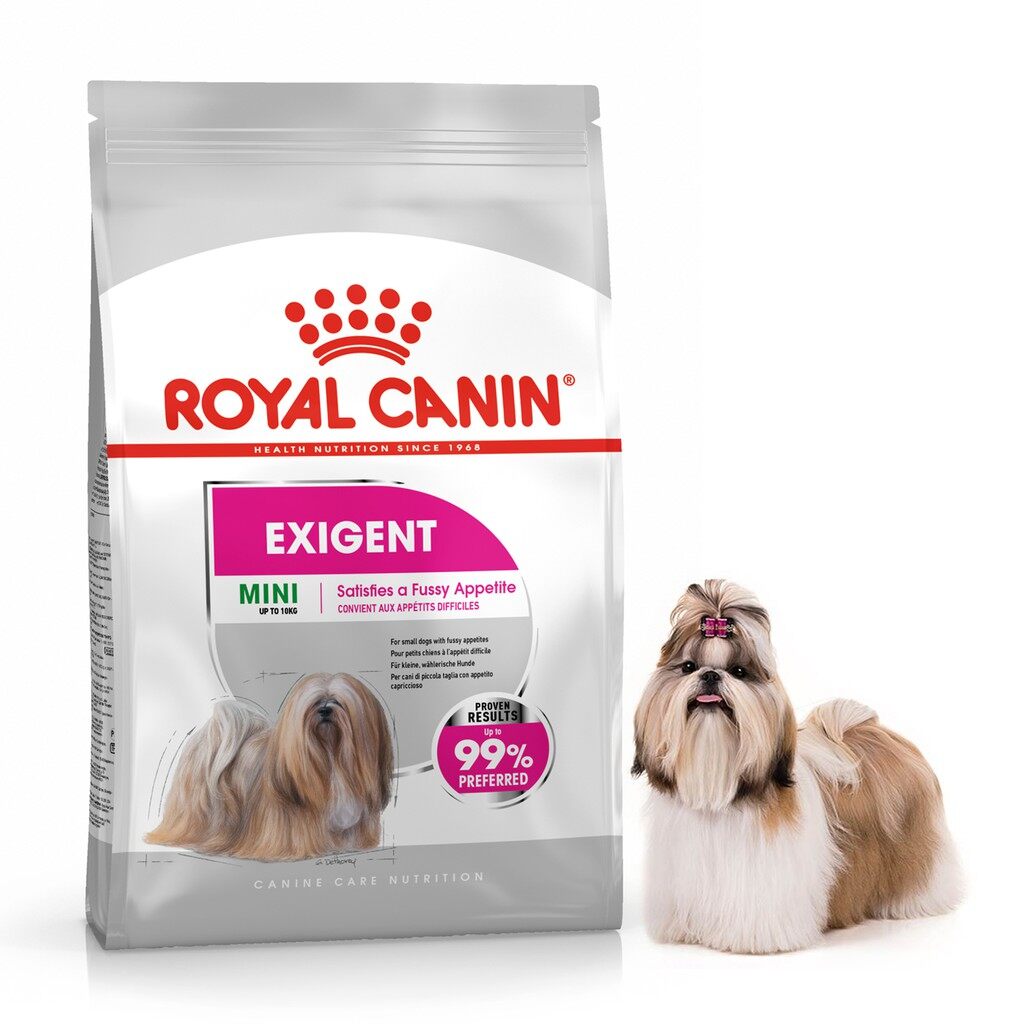 Memahami Kebutuhan Nutrisi Anjing Anda dengan Good Dog
