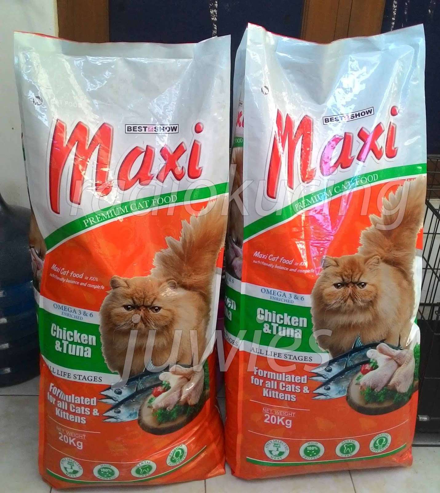 Panduan Lengkap: Memilih Makanan Kucing Terbaik Berdasarkan Cat Food Review