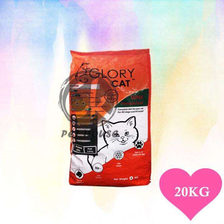 Memilih Makanan Kucing Terbaik: Panduan Lengkap dengan Glory Cat
