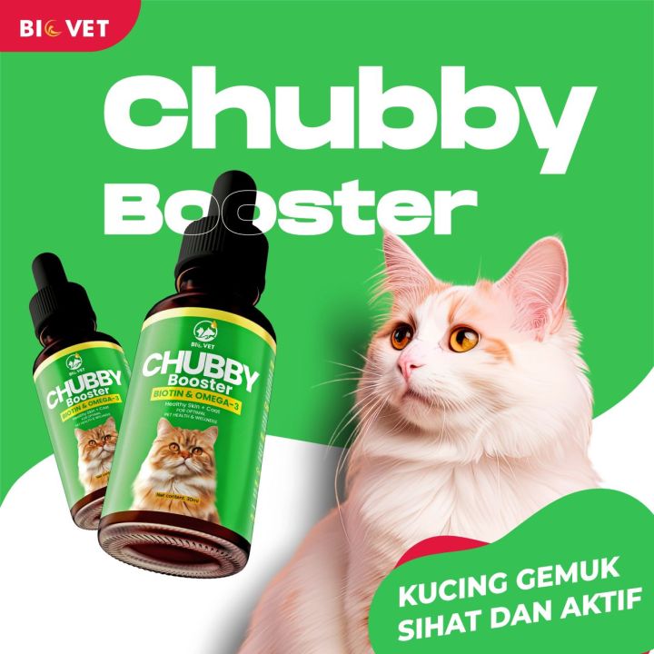 Makanan Kucing Alami untuk Gemuk dan Bulu Lebat