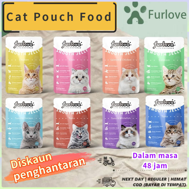 Mengenal Lebih Dekat Super Cat Food untuk Kesehatan Kucing Kesayangan