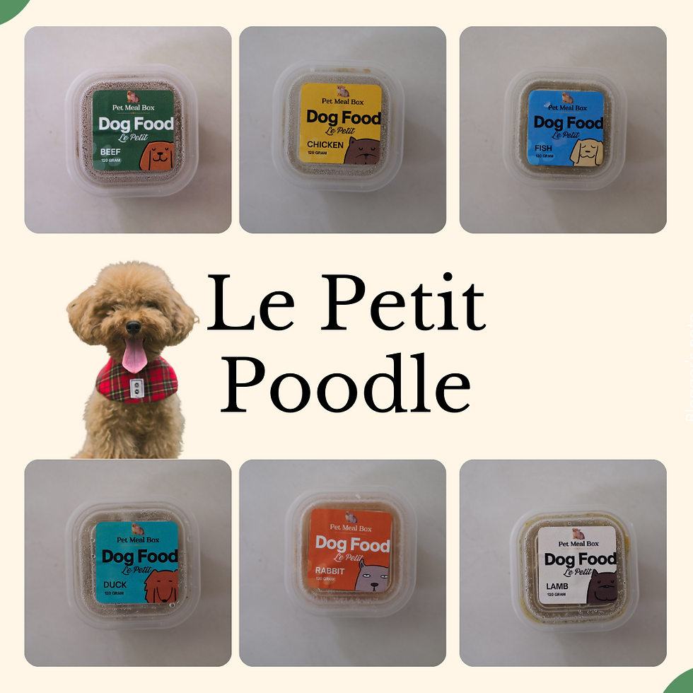 Makanan Buat Anjing Poodle: Panduan Lengkap untuk Kesehatan Optimal
