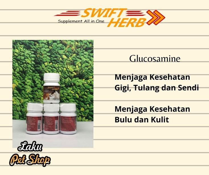 Nutrisi Optimal untuk Kucing Setelah Melahirkan: Panduan Lengkap