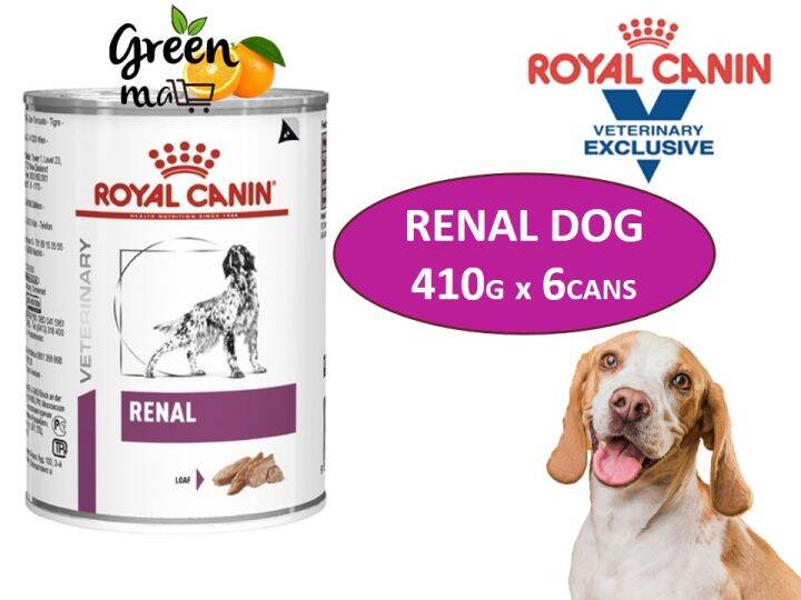 Makanan Anjing Renal Alami: Dukungan Kesehatan Ginjal Optimal