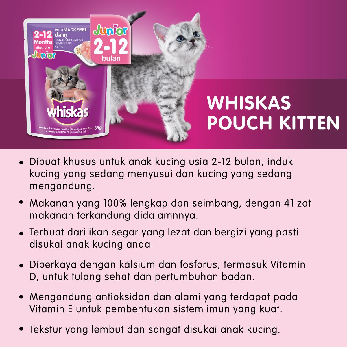 Memahami Visual Alami: Gambar Makanan Kucing Whiskas dan Kesehatan Kucing Anda