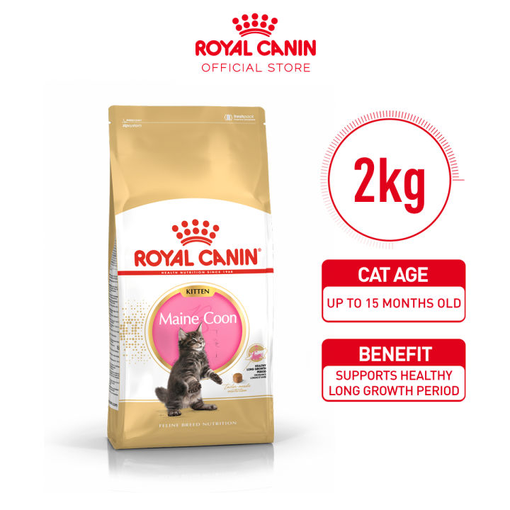 Nutrisi Optimal untuk Anak Kucing: Memahami Makanan Anak Kucing Royal Canin
