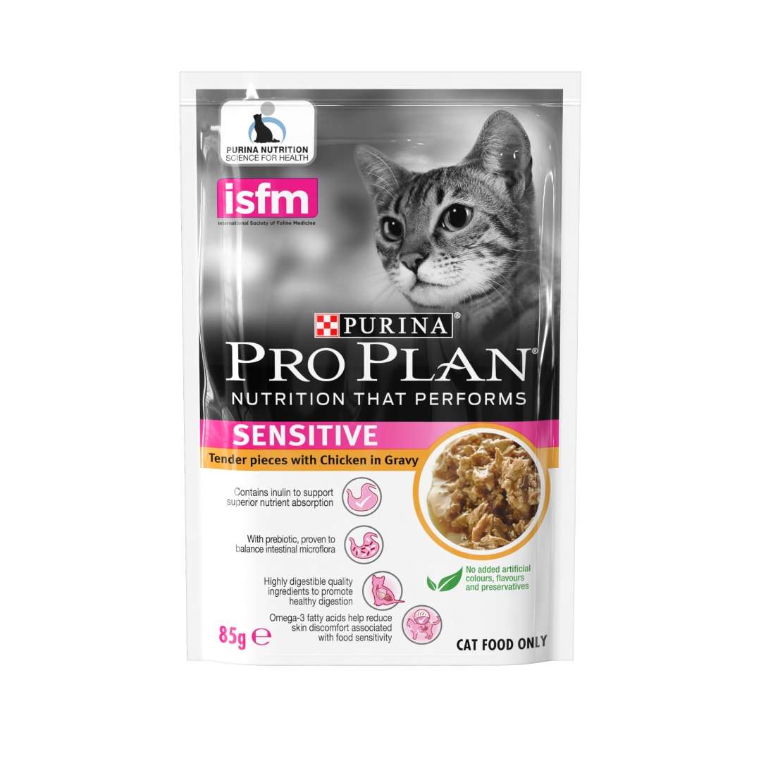 Makanan Kucing Basah Adult: Panduan Lengkap