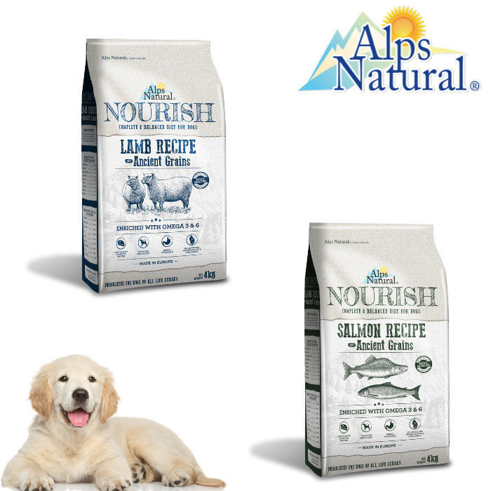Panduan Lengkap Makanan Anjing Kibble: Nutrisi Optimal untuk Sahabat Terbaik Anda