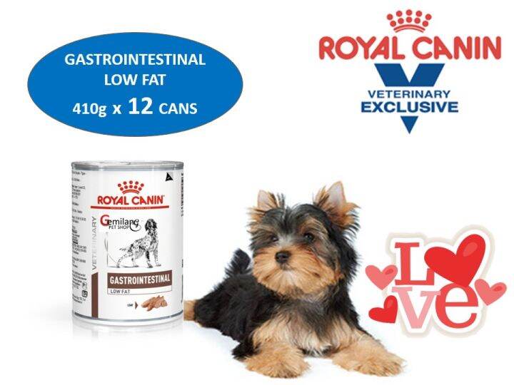 Makanan Anjing Gastro: Solusi Alami untuk Masalah Pencernaan
