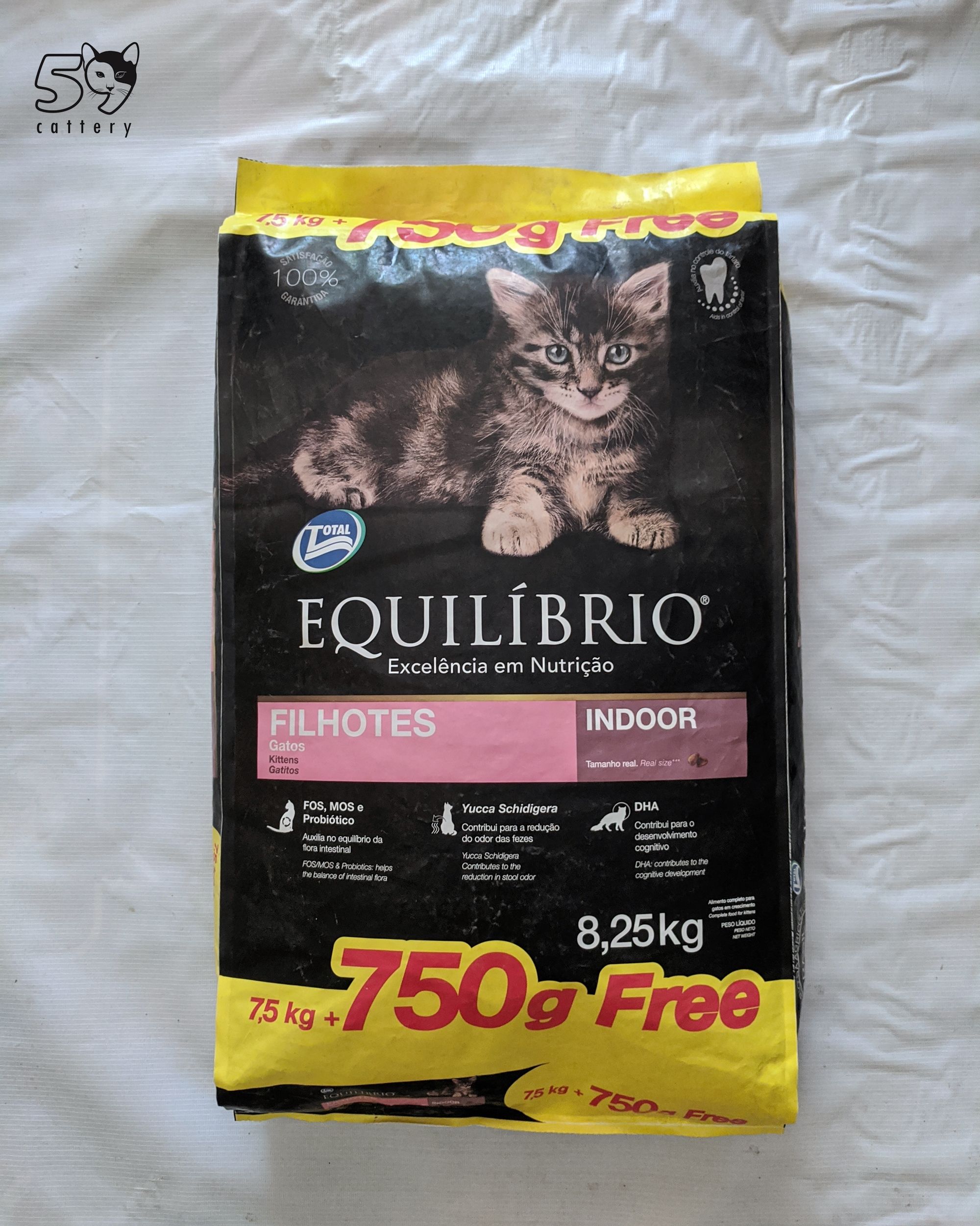 Rahasia Bulu Indah Kucing Persia: Pilihan Makanan yang Tepat
