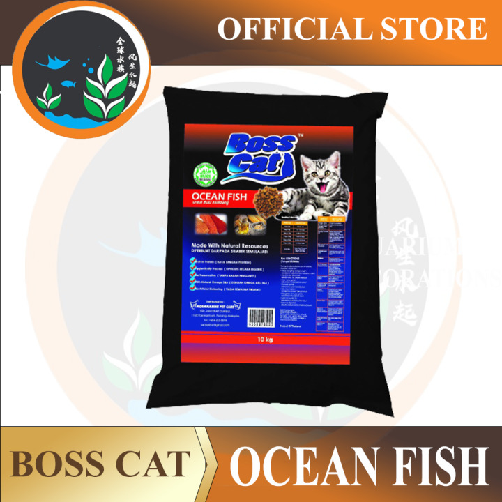 Memahami Kebutuhan Nutrisi Kucing dengan Makanan Kucing Boss Cat