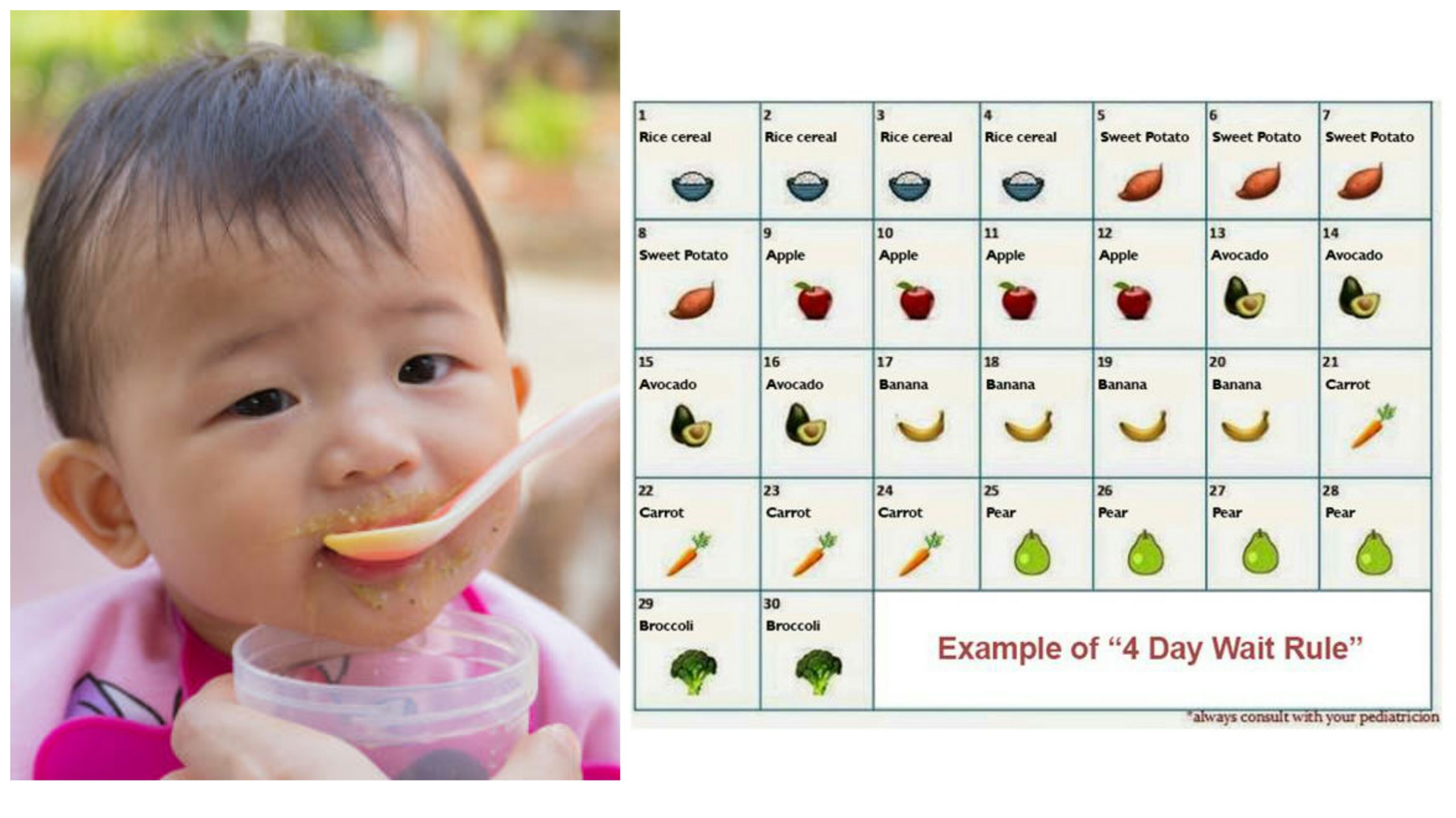 Makanan Bayi Anjing 1 Bulan: Panduan Lengkap Alami